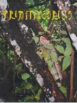 Primitive Skills Magazine Vol1 | Keel Surf & Supply