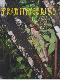 Primitive Skills Magazine Vol1 | Keel Surf & Supply