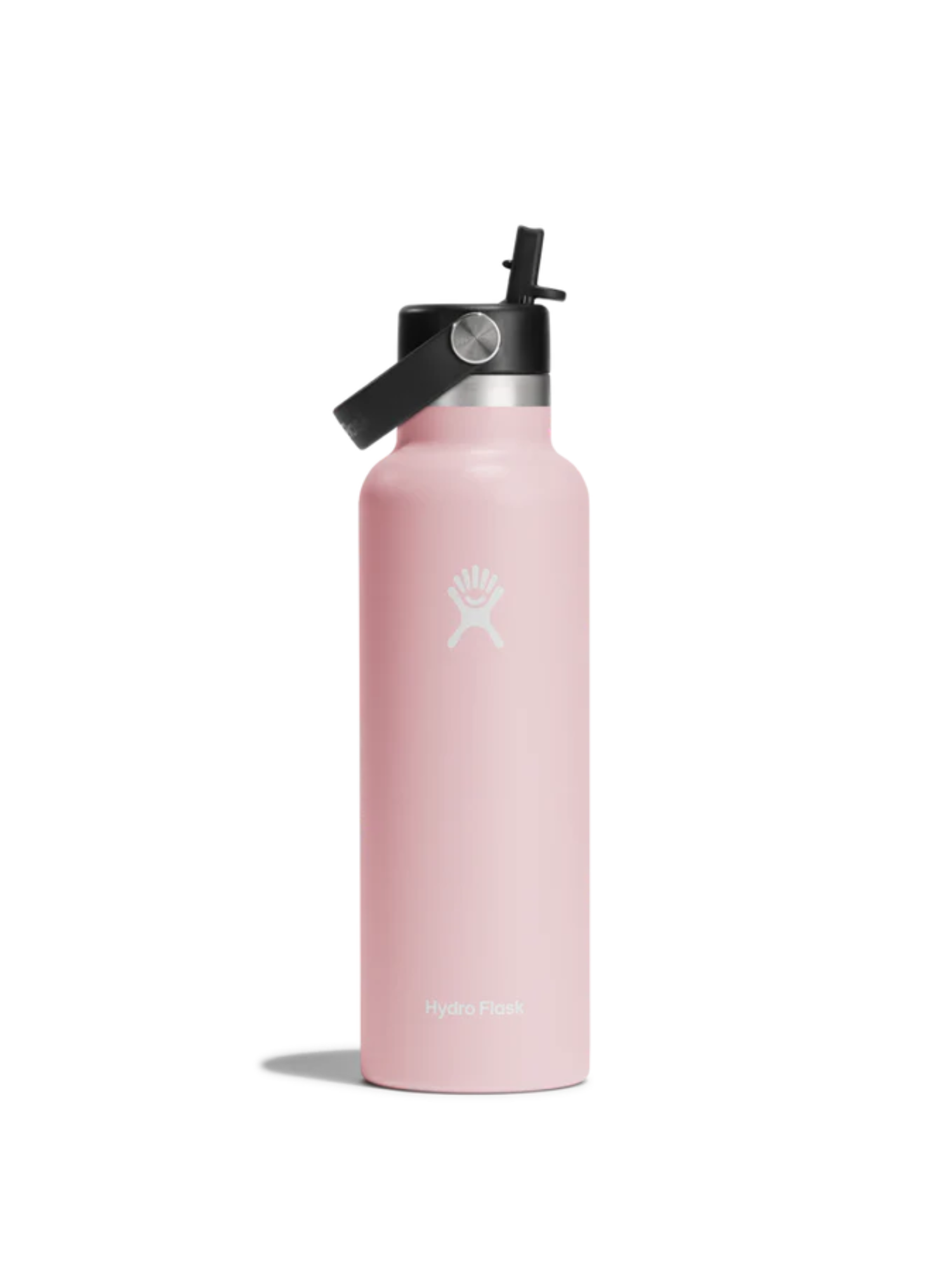 Hydroflask Bottle w/ Flex Straw Cap ~ Trillium