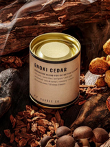 P.F. Candle Co Alchemy Line Incense Cones Enoki Cedar