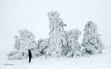 Below Zero. Adventures Out in the Cold-Keel Surf & Supply
