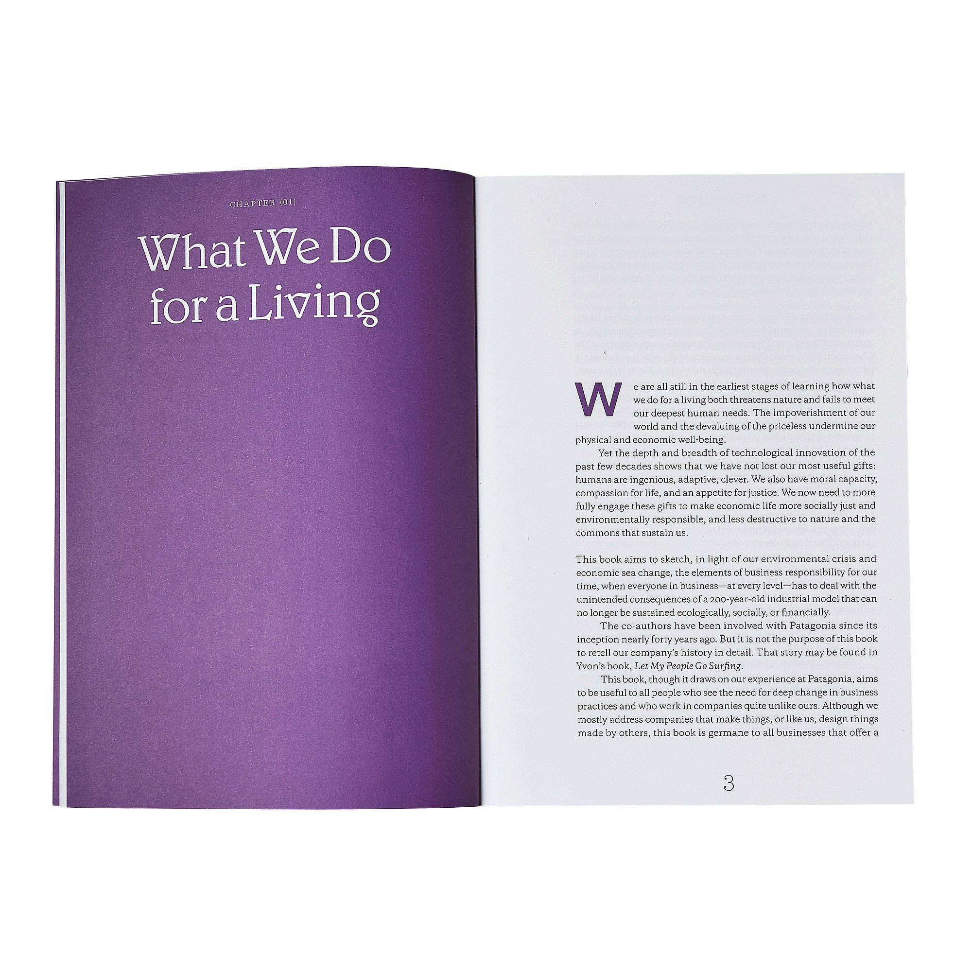 The Responsible Company: What We've Learned from Patagonia's First 40 Years ~ Yvon Chouinard & Vincent Stanley-Keel Surf & Supply