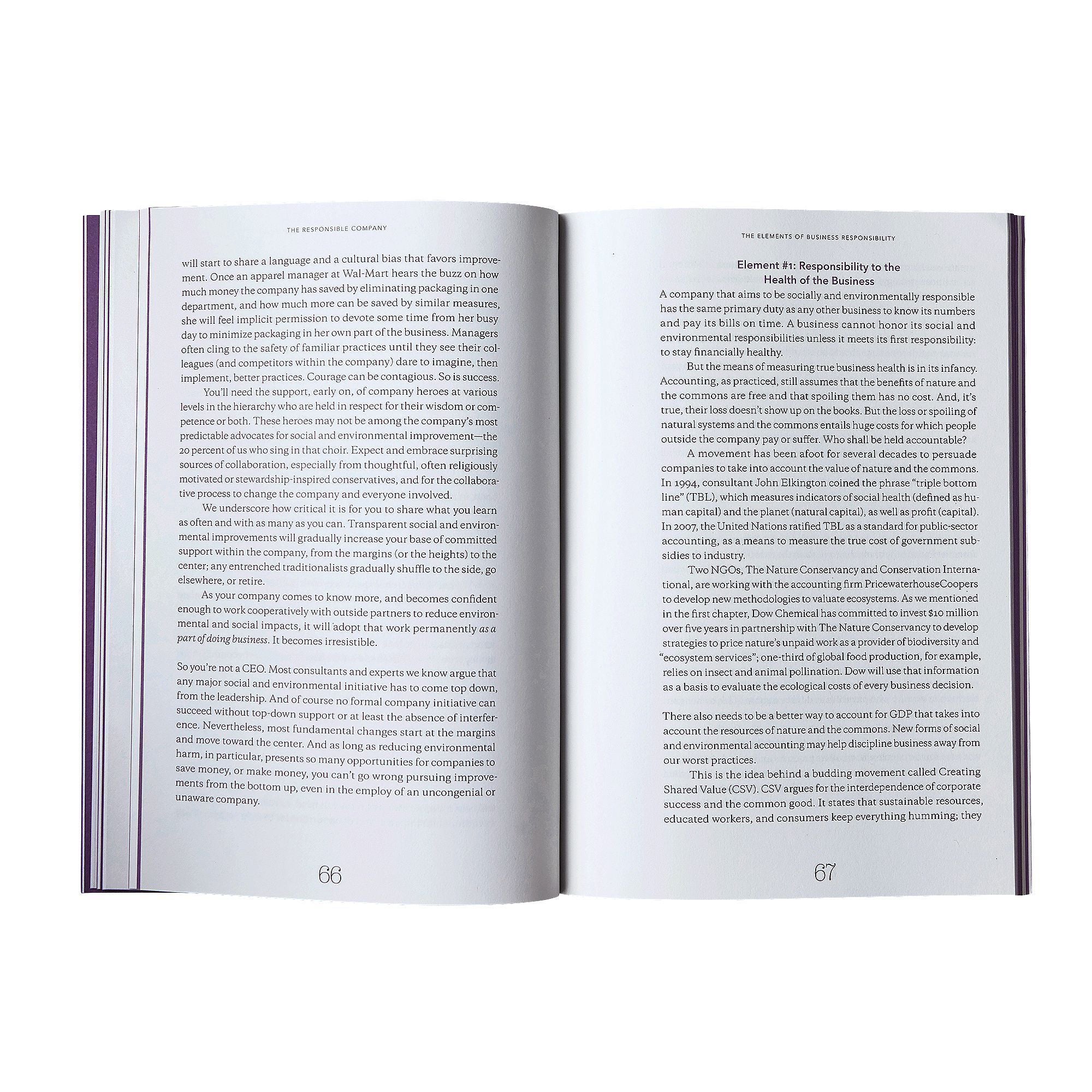 The Responsible Company: What We've Learned from Patagonia's First 40 Years ~ Yvon Chouinard & Vincent Stanley-Keel Surf & Supply