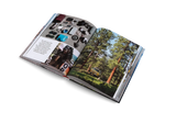 Media 7