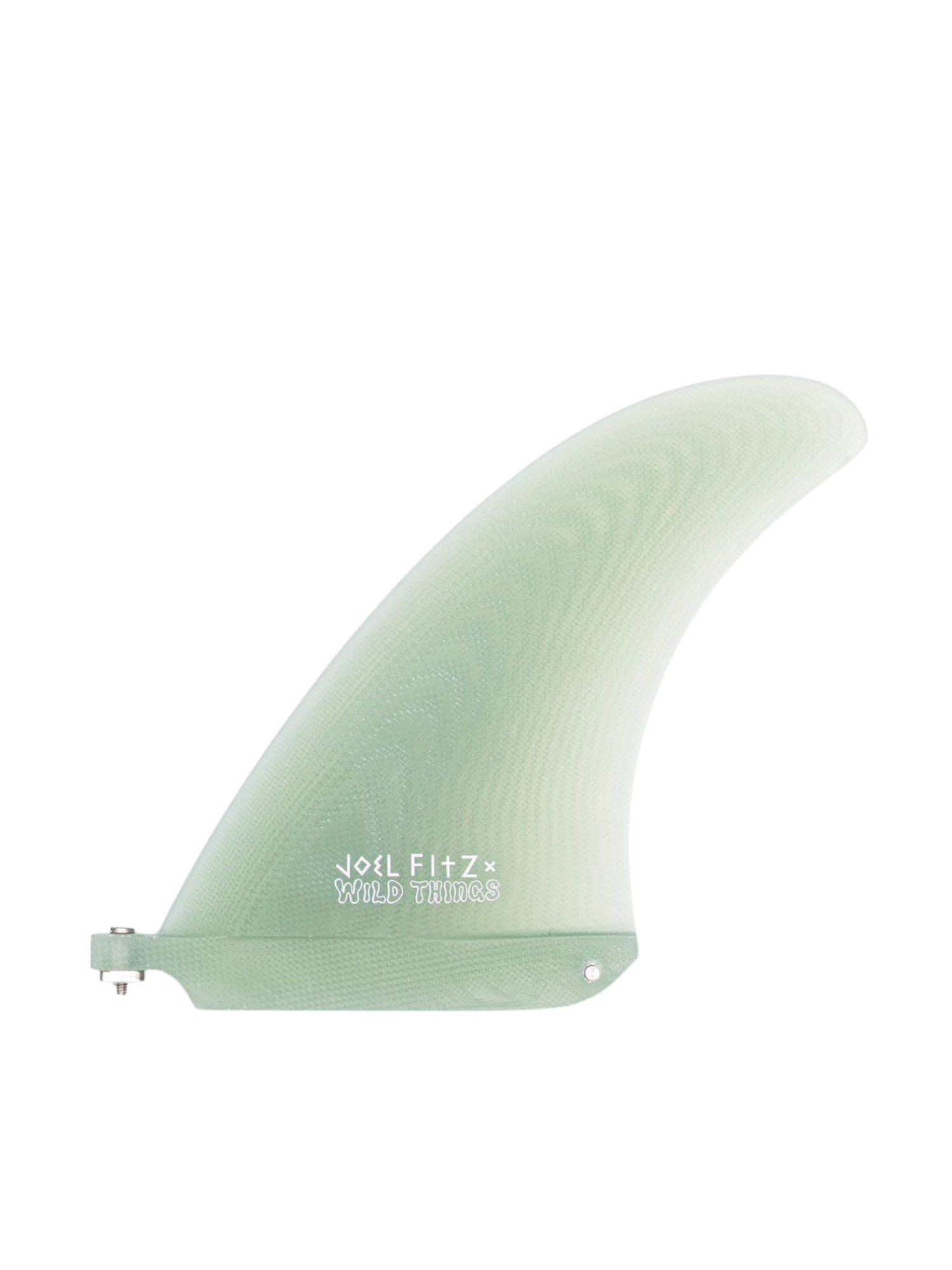 Joel Fitz Fin