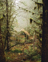 WILDSIDE. THE ENCHANTED LIFE OF HUNTERS AND GATHERERS-Keel Surf & Supply